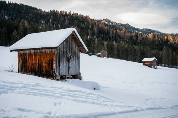 冬の森の古い木造小屋 — ストック写真