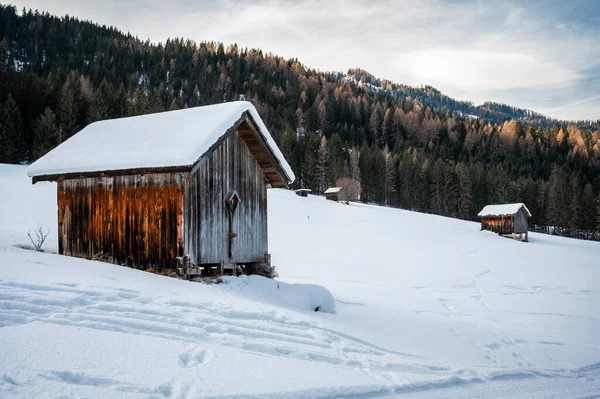 Old Wooden Hut Winter Forest — 스톡 사진