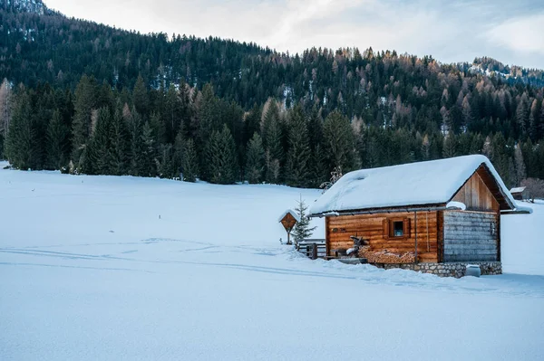 Kış ormanında eski ahşap kulübe