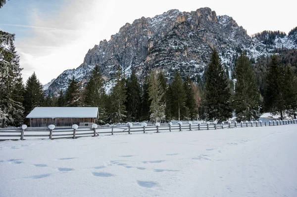 Karla kaplı dağlarla kaplı güzel kış manzarası