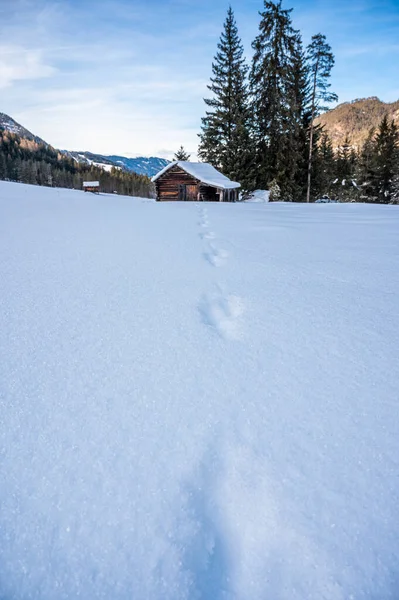 Kış ormanında eski ahşap kulübe
