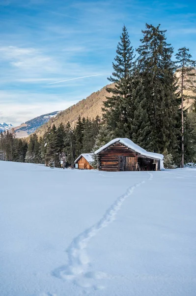 Old Wooden Hut Winter Forest —  Fotos de Stock