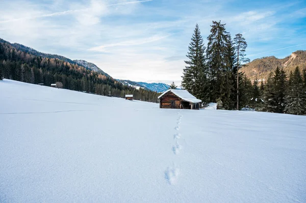 Kış ormanında eski ahşap kulübe
