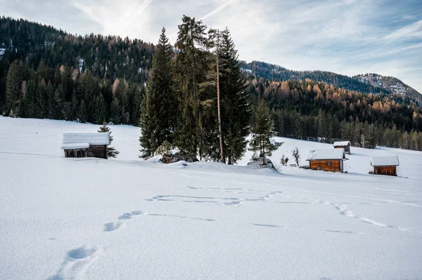 Ahşap kulübeleri olan güzel kış dağları manzarası