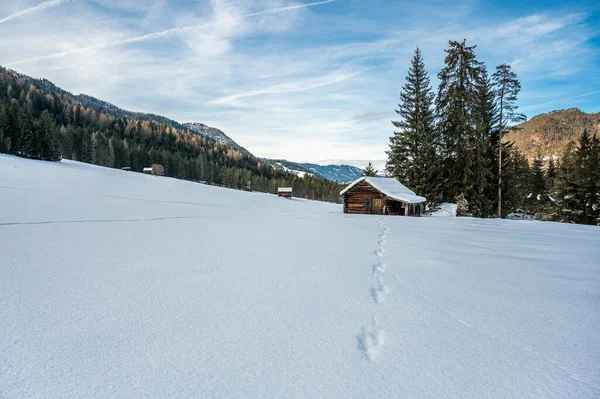 Kış ormanında eski ahşap kulübe