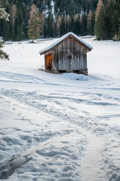 Старый Деревянный Домик Зимнем Лесу — стоковое фото