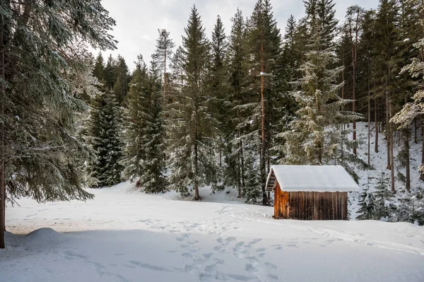 Çam ağaçları ve ahşap kulübesi olan güzel kış manzarası