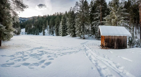 Beautiful Winter Landscape Pine Trees Wooden Hut — стоковое фото