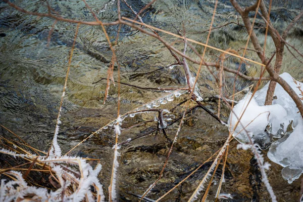 Замерзшая Трава Реки Зимой — стоковое фото