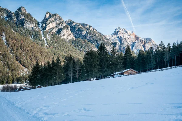 Dağlarda ağaçlarla kaplı güzel bir manzara. 