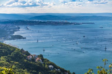aerial view of sea with many sailboats 