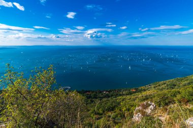 Birçok tekneyle deniz manzarası