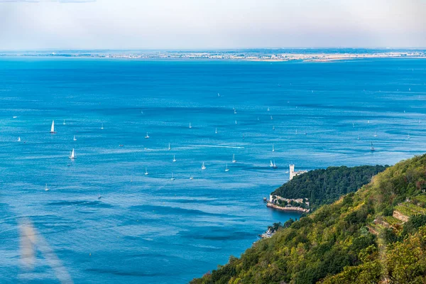 Aerial View Sea Many Sailboats — Foto de Stock