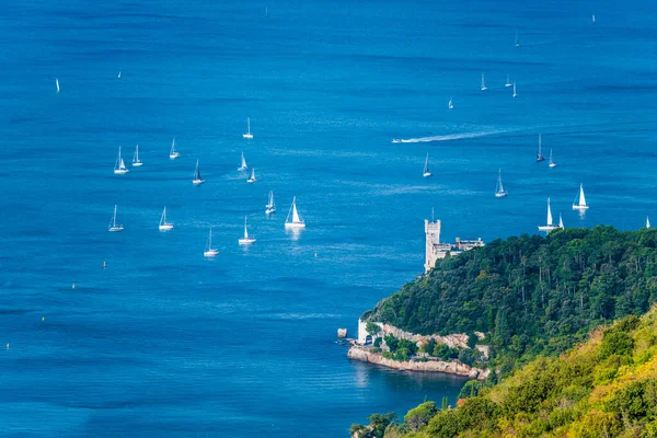 Birçok yelkenli ile deniz manzarası 