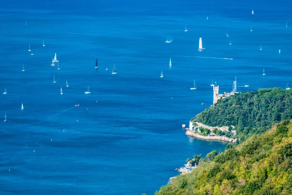 Birçok tekneyle deniz manzarası