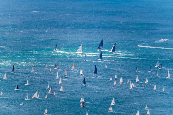 Birçok tekneyle deniz manzarası