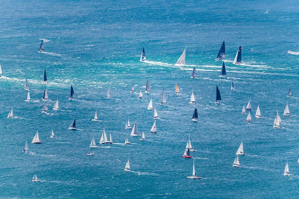 Birçok tekneyle deniz manzarası