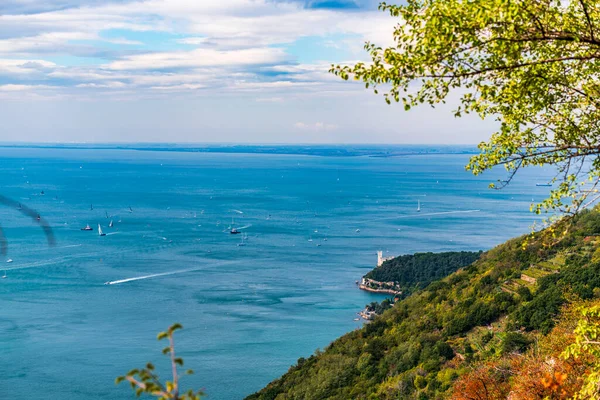 Uluslararası yelkencilik yarışlarının havadan görünüşü