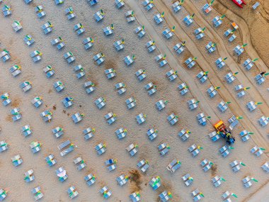 Lignano Sabbiadoro sahilindeki güneşli yatakların ve şemsiyelerin tepesinden manzara.