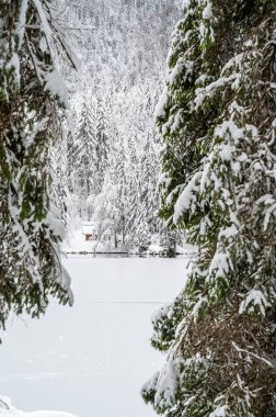 Donmuş göl ve karla kaplı ağaçlarla güzel kış manzarası