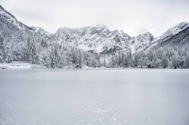 Donmuş göl ve karla kaplı ağaçlarla güzel kış manzarası