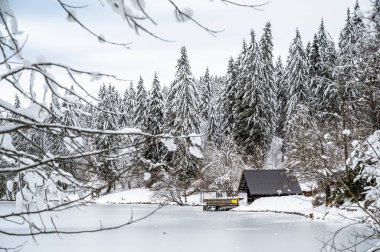 Donmuş göl ve karla kaplı ağaçlarla güzel kış manzarası