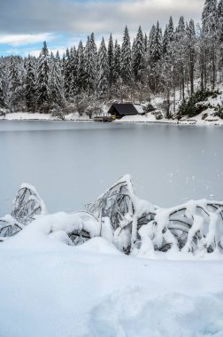 Donmuş göl ve karla kaplı ağaçlarla güzel kış manzarası