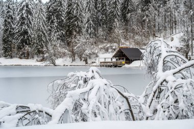 Donmuş göl ve karla kaplı ağaçlarla güzel kış manzarası