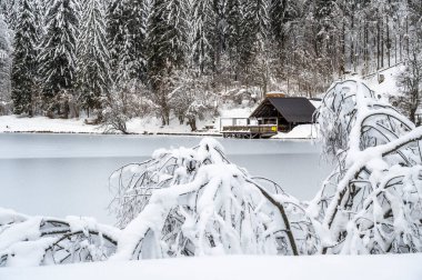 Donmuş göl ve karla kaplı ağaçlarla güzel kış manzarası