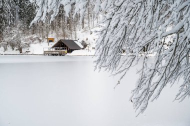 Donmuş göl ve karla kaplı ağaçlarla güzel kış manzarası