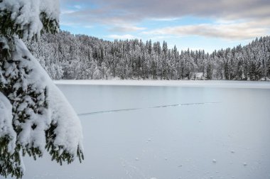 Donmuş göl ve karla kaplı ağaçlarla güzel kış manzarası