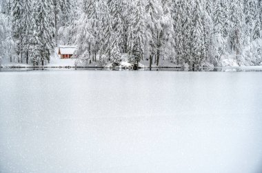 Donmuş göl ve karla kaplı ağaçlarla güzel kış manzarası