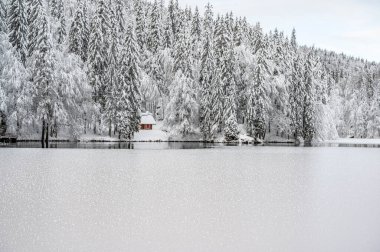 Donmuş göl ve karla kaplı ağaçlarla güzel kış manzarası