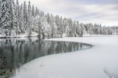 Donmuş göl ve karla kaplı ağaçlarla güzel kış manzarası