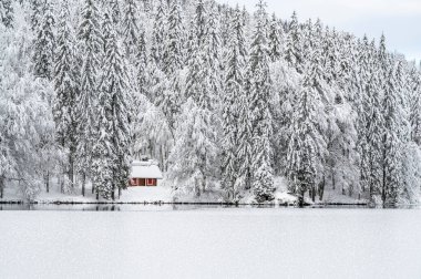 Donmuş göl ve karla kaplı ağaçlarla güzel kış manzarası
