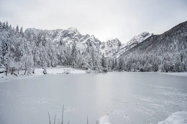 Prachtig Winterlandschap Met Bevroren Meer Besneeuwde Bomen — Stockfoto