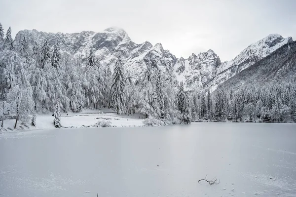 Beautiful Winter Landscape Frozen Lake Snow Covered Trees — Stok fotoğraf
