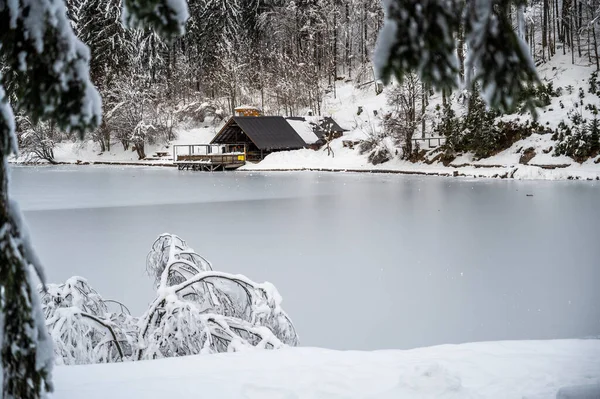Beautiful Winter Landscape Frozen Lake Snow Covered Trees — Foto de Stock