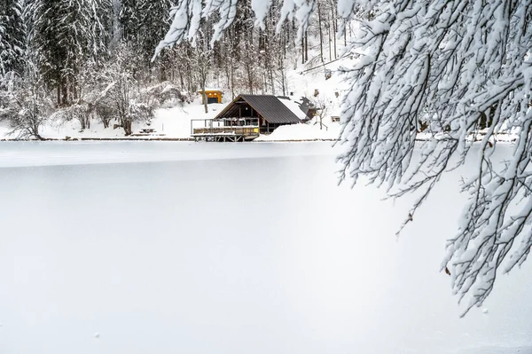 Beautiful Winter Landscape Frozen Lake Snow Covered Trees — Foto de Stock