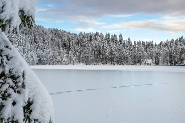 Bela Paisagem Inverno Com Lago Congelado Árvores Cobertas Neve — Fotografia de Stock