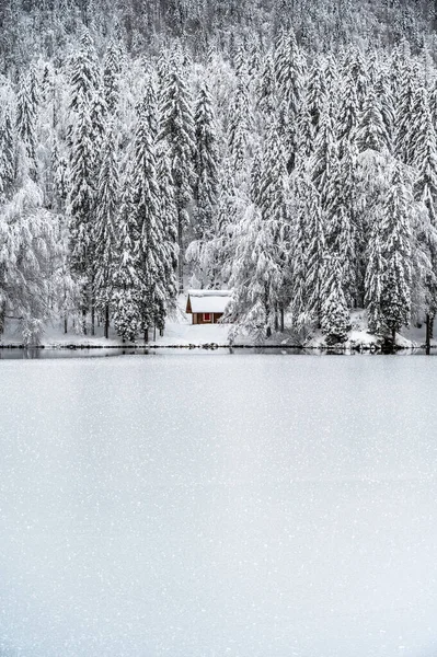 Vackert Vinterlandskap Med Frusen Sjö Och Snötäckta Träd — Stockfoto