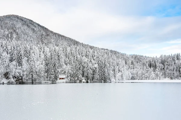 Beautiful Winter Landscape Frozen Lake Snow Covered Trees — стоковое фото