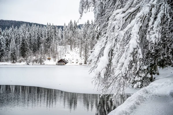 凍った湖と雪に覆われた木々が美しい冬の風景 — ストック写真