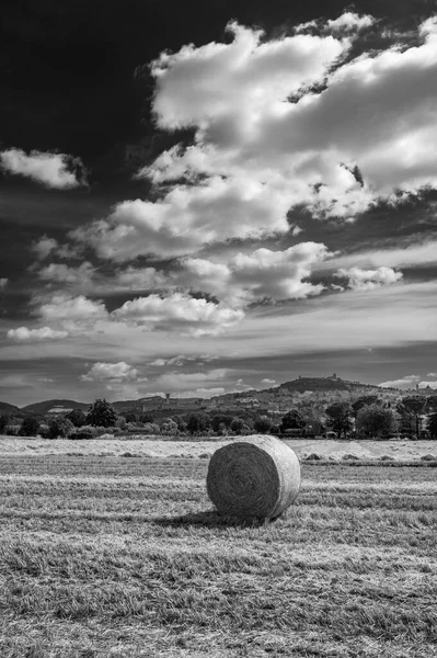 Rural Landscape Field Hay Assisi Italy — Stock Photo, Image