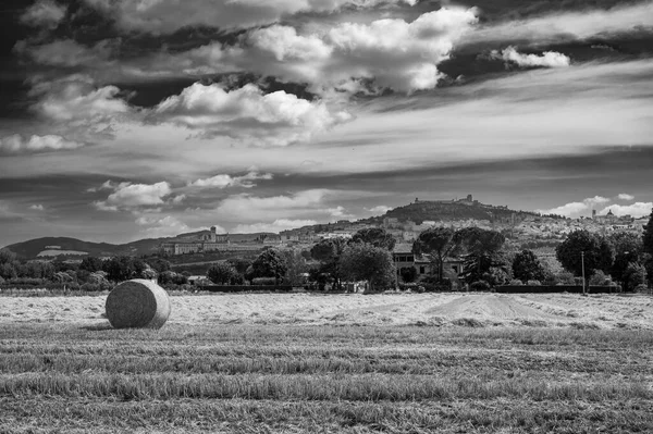 Paesaggio Rurale Con Campo Fieno Assisi — Foto Stock