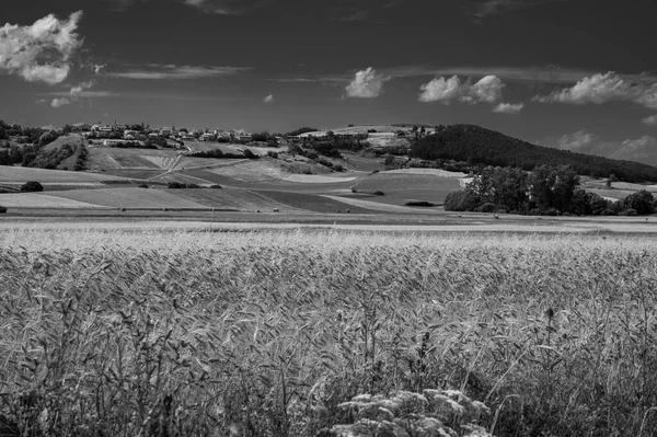 Panorámás Kilátás Colfiorito Falu Umbria Közép Olaszországban Fekete Fehér Fénykép — Stock Fotó