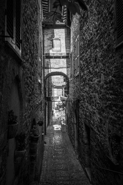 Medieval architecture of village in Umbria, magic of Spello in black and white.