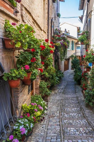 Medieval Architecture Village Umbria Magic Spello — Stock Photo, Image