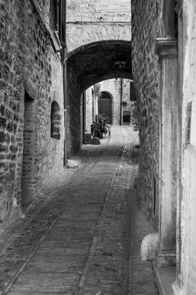 Medieval architecture of village in Umbria, magic of Spello in black and white.