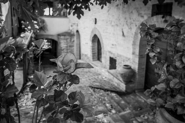 Medieval architecture of village in Umbria, magic of Spello in black and white